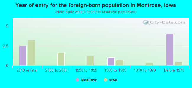Year of entry for the foreign-born population in Montrose, Iowa