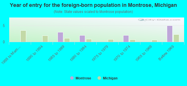 Year of entry for the foreign-born population in Montrose, Michigan
