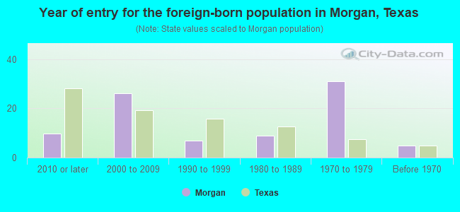 Year of entry for the foreign-born population in Morgan, Texas