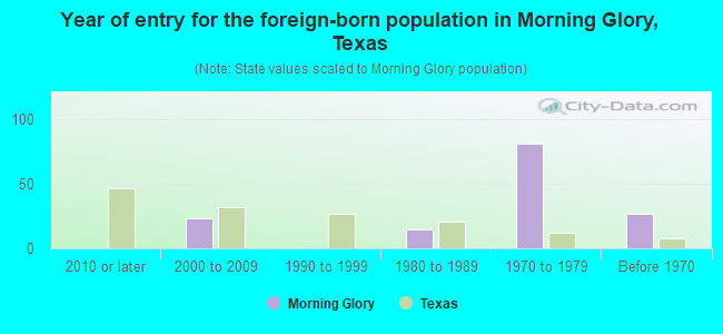 Year of entry for the foreign-born population in Morning Glory, Texas