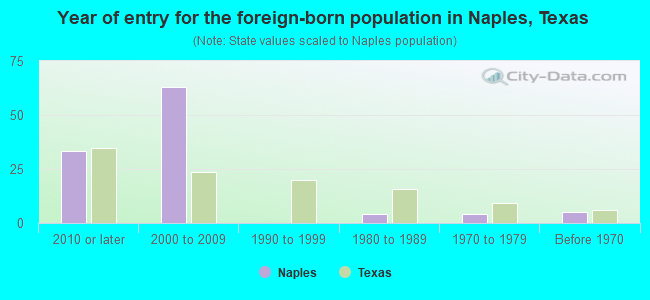 Year of entry for the foreign-born population in Naples, Texas