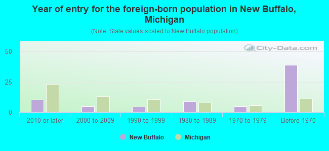 Year of entry for the foreign-born population in New Buffalo, Michigan