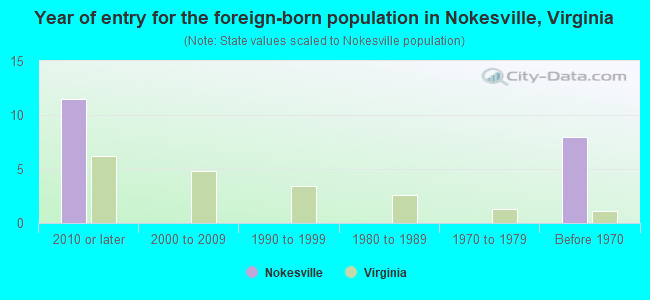 Year of entry for the foreign-born population in Nokesville, Virginia