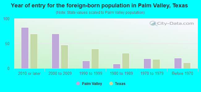 Year of entry for the foreign-born population in Palm Valley, Texas