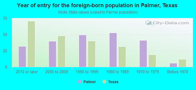 Year of entry for the foreign-born population in Palmer, Texas
