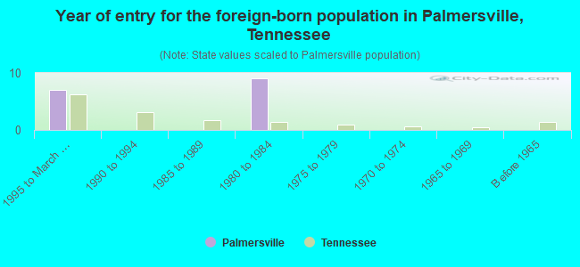 Year of entry for the foreign-born population in Palmersville, Tennessee