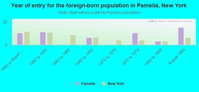 Year of entry for the foreign-born population in Pamelia, New York