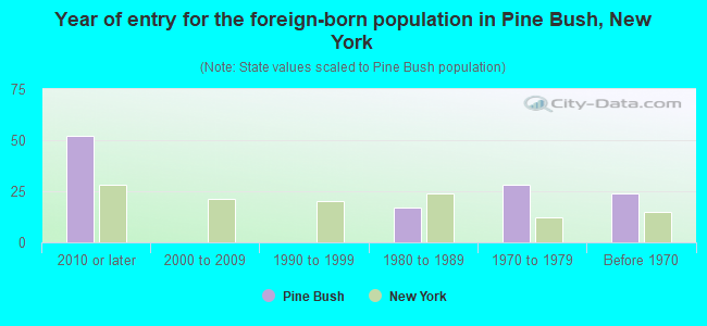 Year of entry for the foreign-born population in Pine Bush, New York