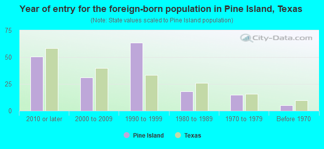 Year of entry for the foreign-born population in Pine Island, Texas