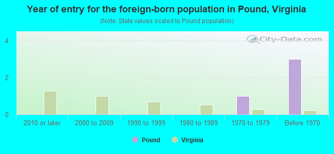 Year of entry for the foreign-born population in Pound, Virginia