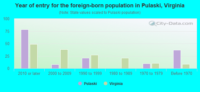 Year of entry for the foreign-born population in Pulaski, Virginia
