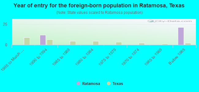 Year of entry for the foreign-born population in Ratamosa, Texas