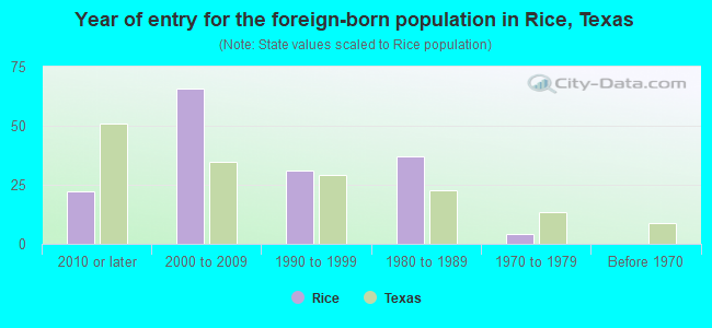 Year of entry for the foreign-born population in Rice, Texas