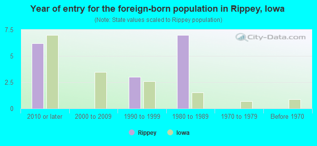 Year of entry for the foreign-born population in Rippey, Iowa