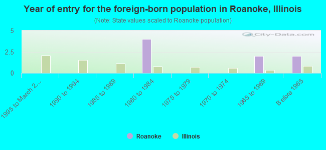 Year of entry for the foreign-born population in Roanoke, Illinois