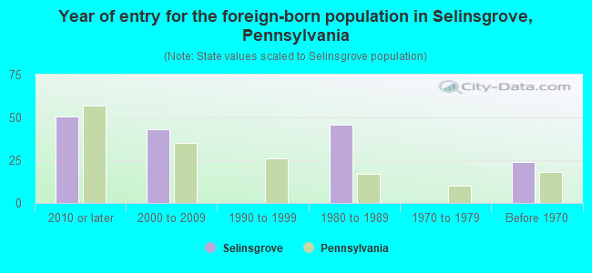 Year of entry for the foreign-born population in Selinsgrove, Pennsylvania