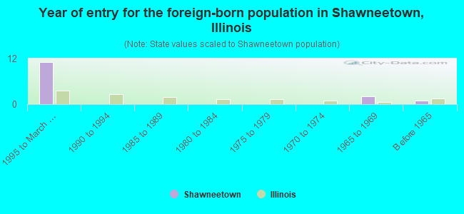 Year of entry for the foreign-born population in Shawneetown, Illinois