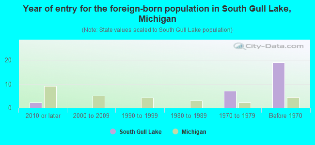 Year of entry for the foreign-born population in South Gull Lake, Michigan
