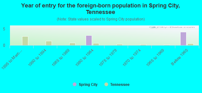 Year of entry for the foreign-born population in Spring City, Tennessee