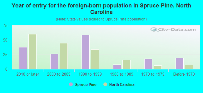 Year of entry for the foreign-born population in Spruce Pine, North Carolina