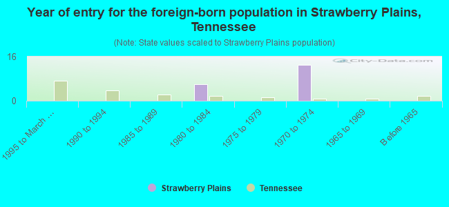 Year of entry for the foreign-born population in Strawberry Plains, Tennessee