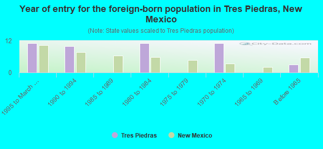 Year of entry for the foreign-born population in Tres Piedras, New Mexico