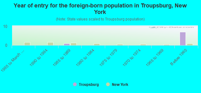 Year of entry for the foreign-born population in Troupsburg, New York
