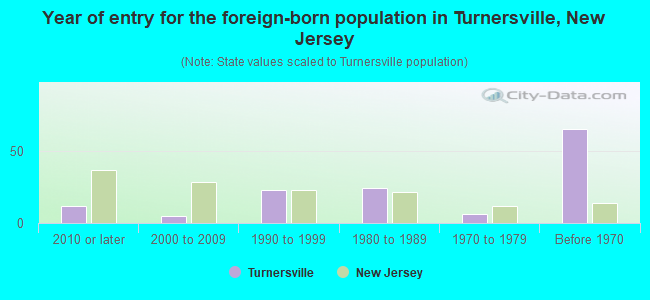 Year of entry for the foreign-born population in Turnersville, New Jersey