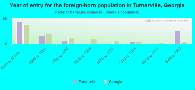 Year of entry for the foreign-born population in Turnerville, Georgia
