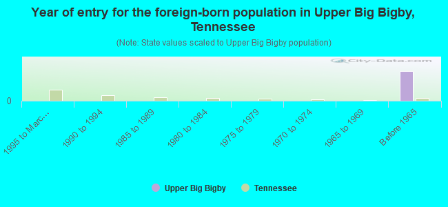 Year of entry for the foreign-born population in Upper Big Bigby, Tennessee