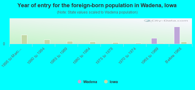Year of entry for the foreign-born population in Wadena, Iowa