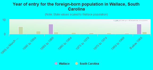 Year of entry for the foreign-born population in Wallace, South Carolina