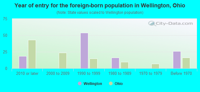 Year of entry for the foreign-born population in Wellington, Ohio