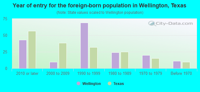 Year of entry for the foreign-born population in Wellington, Texas