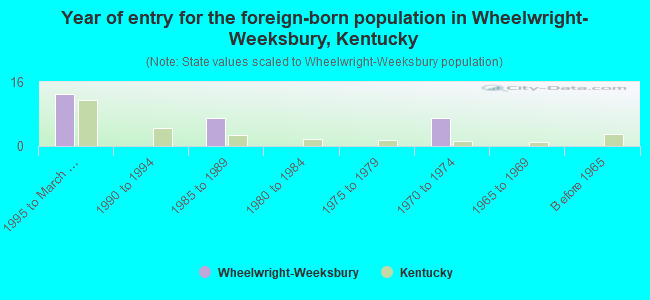 Year of entry for the foreign-born population in Wheelwright-Weeksbury, Kentucky