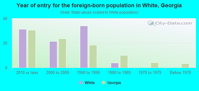 Year of entry for the foreign-born population in White, Georgia