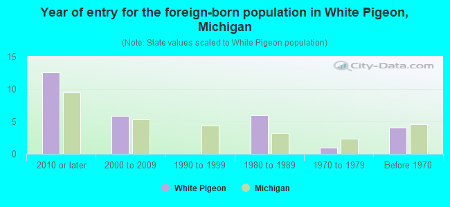 Year of entry for the foreign-born population in White Pigeon, Michigan