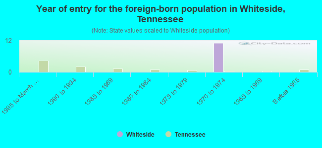 Year of entry for the foreign-born population in Whiteside, Tennessee