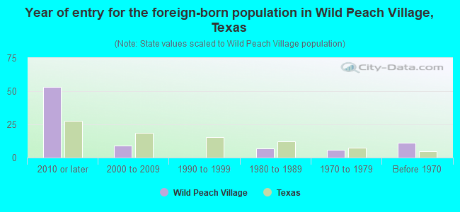 Year of entry for the foreign-born population in Wild Peach Village, Texas