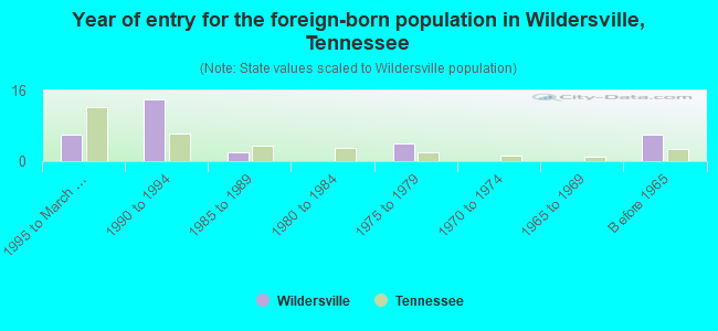 Year of entry for the foreign-born population in Wildersville, Tennessee