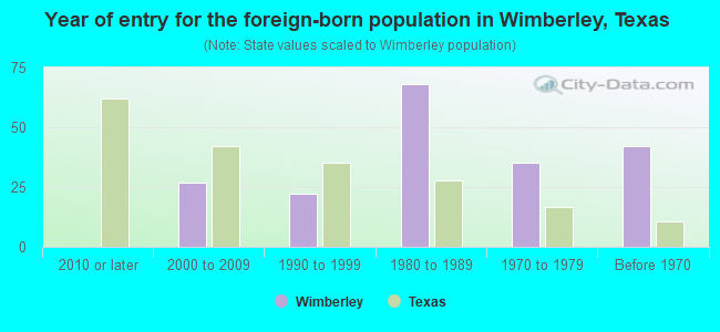 Year of entry for the foreign-born population in Wimberley, Texas