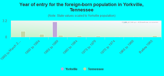 Year of entry for the foreign-born population in Yorkville, Tennessee