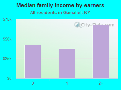 Median family income by earners