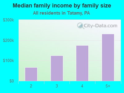 Median family income by family size