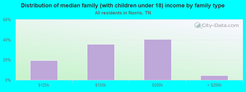 Distribution of median family (with children under 18) income by family type