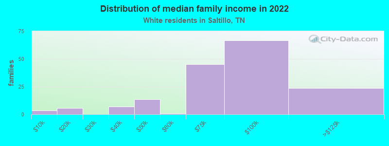 Distribution of median family income in 2022