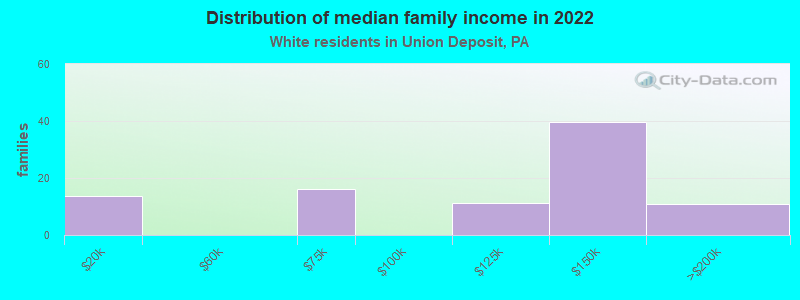 Distribution of median family income in 2022