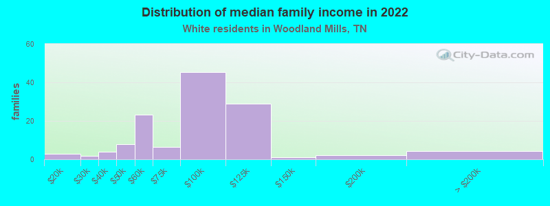 Distribution of median family income in 2022