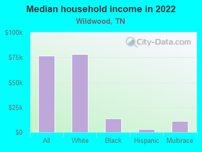 Median household income in 2022