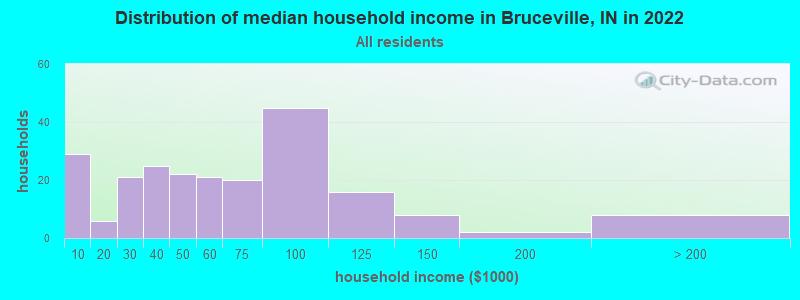 Distribution of median household income in Bruceville, IN in 2022